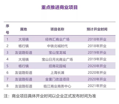 寶山這樣描繪發展藍圖 制造業 公共服務 文化產品 商業項目...全方位解析